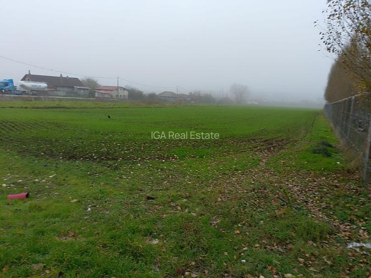 Lumina  teren 10000 mp - 2