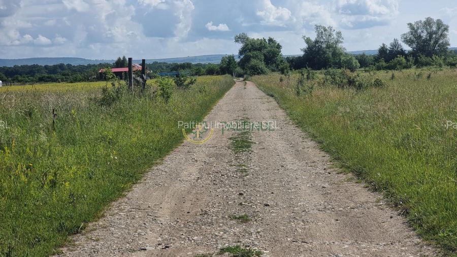 Teren de vânzare în Calea Cisnădiei, Sibiu – 550 mp, PUZ aprobat, vedere superbă - 7