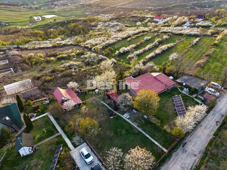 COMISION 0% CUMPARATOR - Teren intravilan 900 mp - Vișan, Barnova - 4