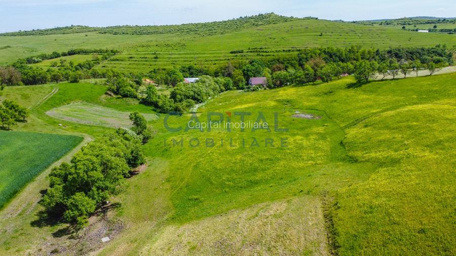 Teren intravilan Codor. Comision 0! - 6