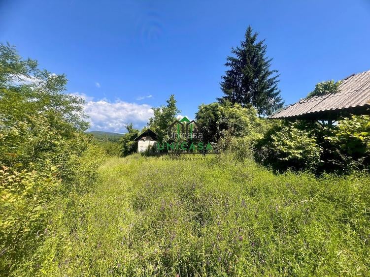 Teren intravilan de vânzare/Ocnele Mari/8.300 mp - 2