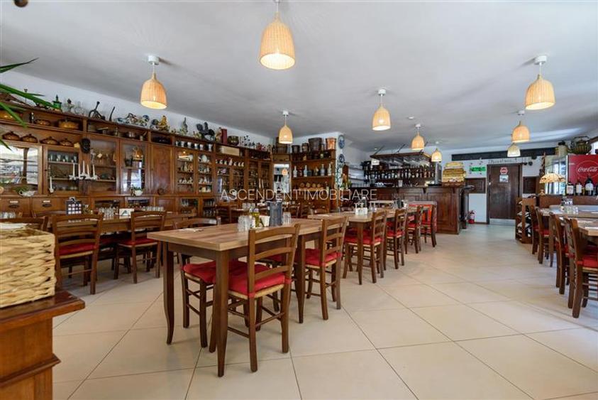 Pensiune cu restaurant, farmec aparte, concept italian, Central, aria Castelul B - 59