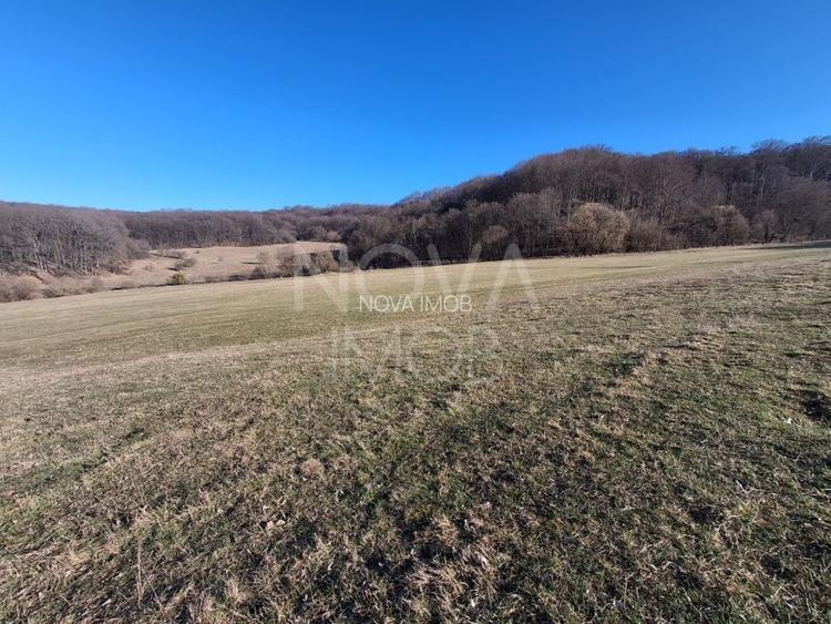Ferma complet echipata de vanzare – zona Agnita, judetul Sibiu - 3