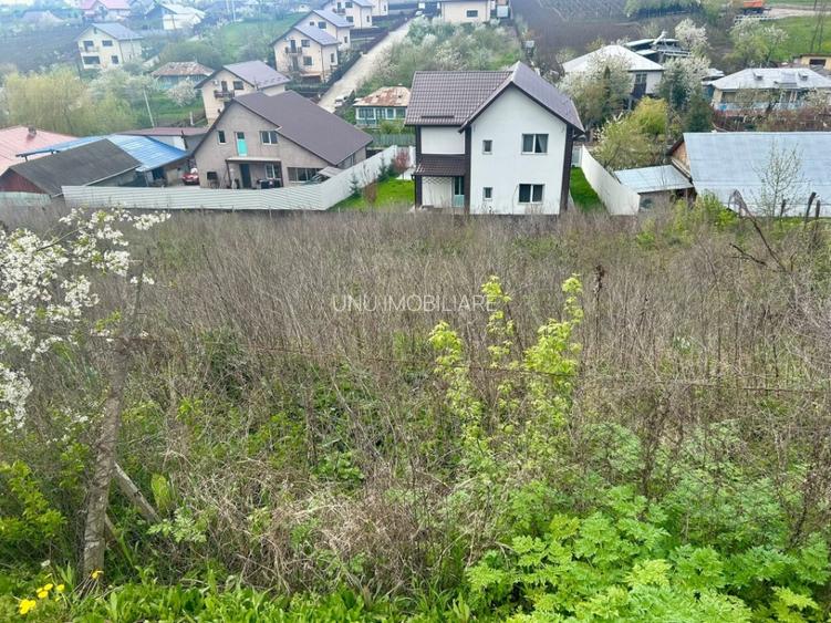 Teren intravilan 1000mp Valea Lupului la 1,5km de E85 apa canalizare PE TEREN! - 9