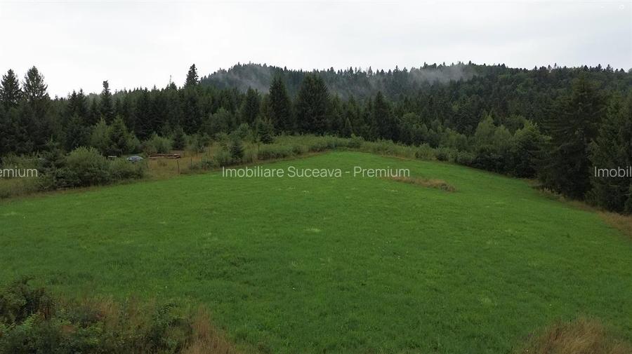 Teren 5023 mp  In Bucovina Zona Manastirea Voronet De Vanzare 0727817187 - 2