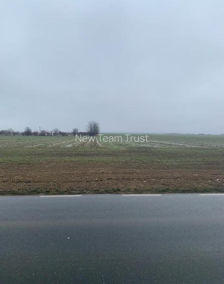 Vanzare Teren Otopeni 23 August-  Tunari - Dimieni - Tamasi - 5