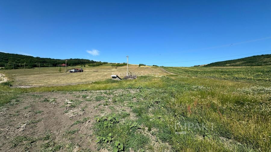 Teren extravilan cu priveliște deosebita, la liziera padurii – Dezmir - 3