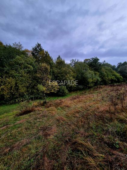 Comision 0%, teren extravilan 12497 mp Sinca Noua - 29