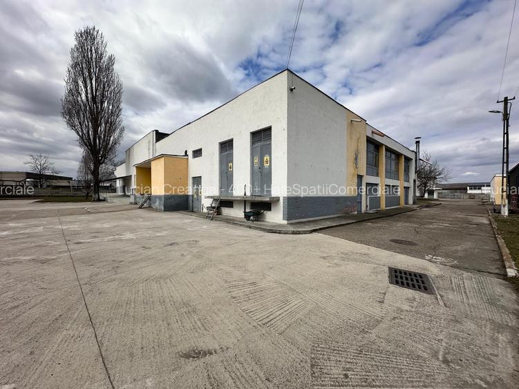 Hale/ spatii de inchiriat in jud. Iasi, Pascani, de la 500mp la 5000mp - 38