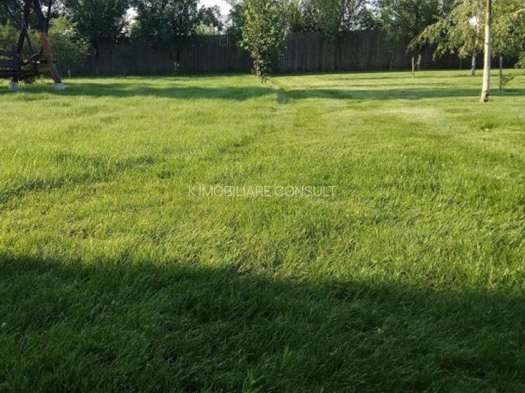 Ciopani vila 5 camere teren 4000 mp - 7