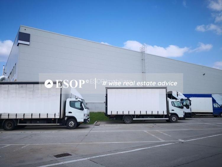 Logicor Mogosoaia - Hale / Spatii Depozitare / Logistice, 0% comision - 3