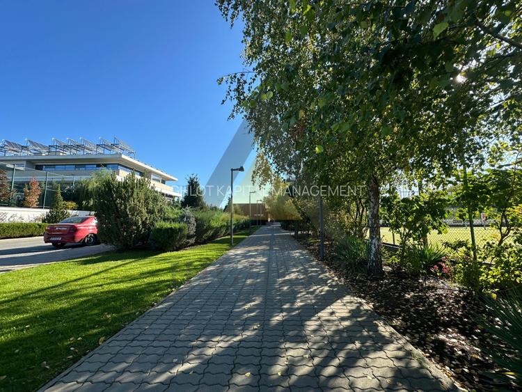 SANSA UNICA IN OXFORD GARDENS | SCOALA AMERICANA | VILA DISPONIBILA IMEDIAT - 19