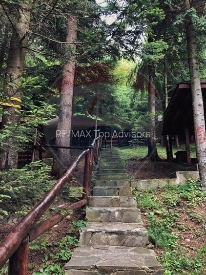 DE VANZARE Pensiune | 12 camere | Bisoca / Buzau - 4