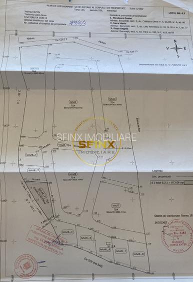 Teren Caldarusani lac/padure 38500 mp, 350 ml deschidere DJ, ape termale - 4