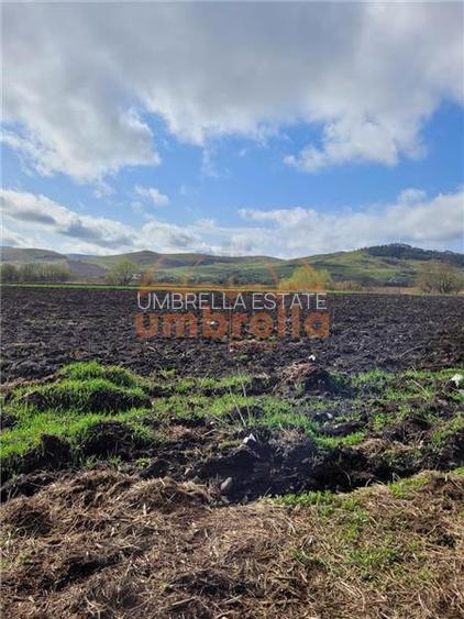 Teren de vanzare 2 parcele total 18.000m²/50€ m² Gherla ! - 5