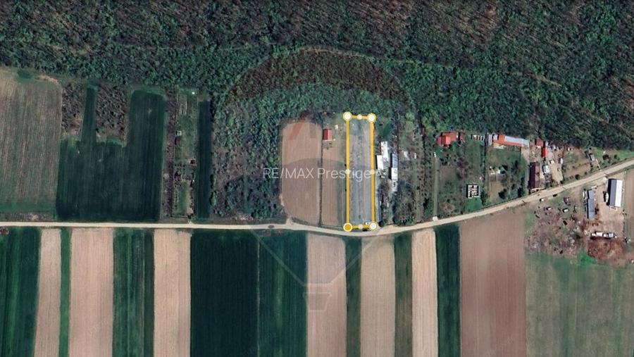 Teren Teisori 2200mp | deschidere la padure - 5