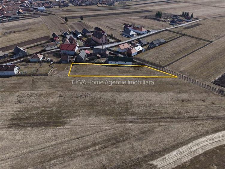 Teren intravilan in Suseni (str. Armeana) - 2