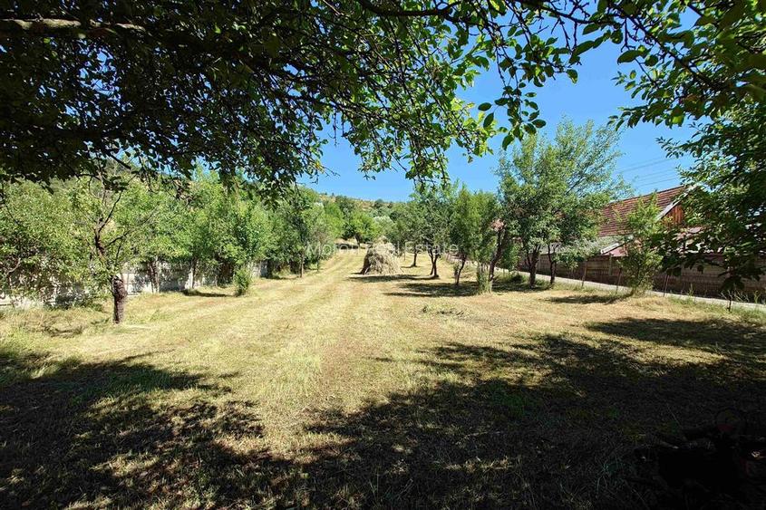 Gospodarie cu teren generos si constructii solide intr-o zona linistita - 3