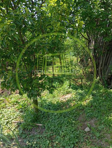 Casă de vânzare în Săcel – 2 corpuri locuibile, 3 băi, grădină, teren generos - 15