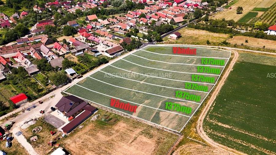 6 loturi casa Maierus,1.375mp,langa DN13, Doripesco,Brasov: 35min, zona verde:FI - 3