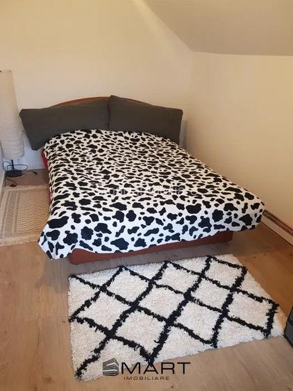 Cabana 4 camere zona Valea Avrigului - 13