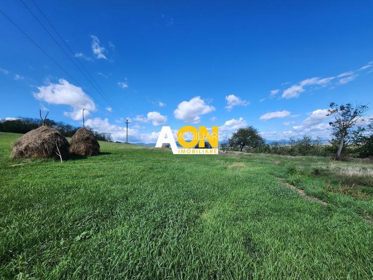 De vanzare 2965 mp teren intravilan, toate utilitatile, Oarda de Sus - 7