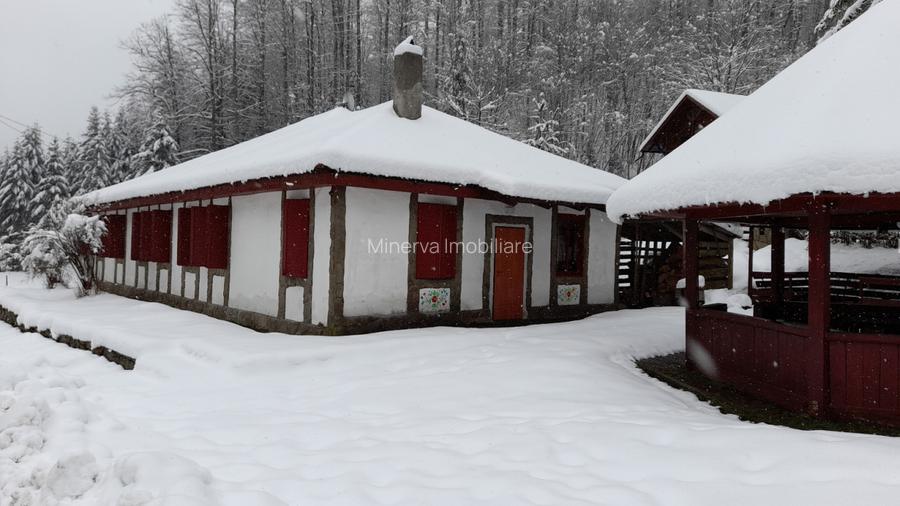 Casa de vacanta Crivaia, langa Valiug –locatie idilica, ideala pentru timp liber - 22