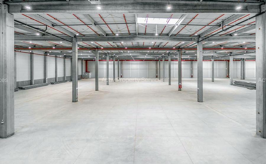 Hale industriale de închiriat în WDP Timișoara - 4