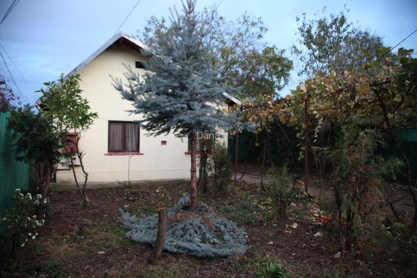 VAND CASA SI CURTE SPATIOASE DE 400 mp ,SITUATE INTR-O ZONA LINISTITA! - 14