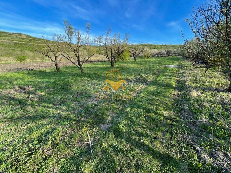 Tren Soporului Intravilan ,5500 MP Utilitati,  Oportunitate - 4