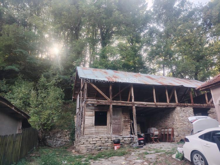Casa  + Teren 4000 mp Urseiu - Dâmbovița 0% COMISION - 12