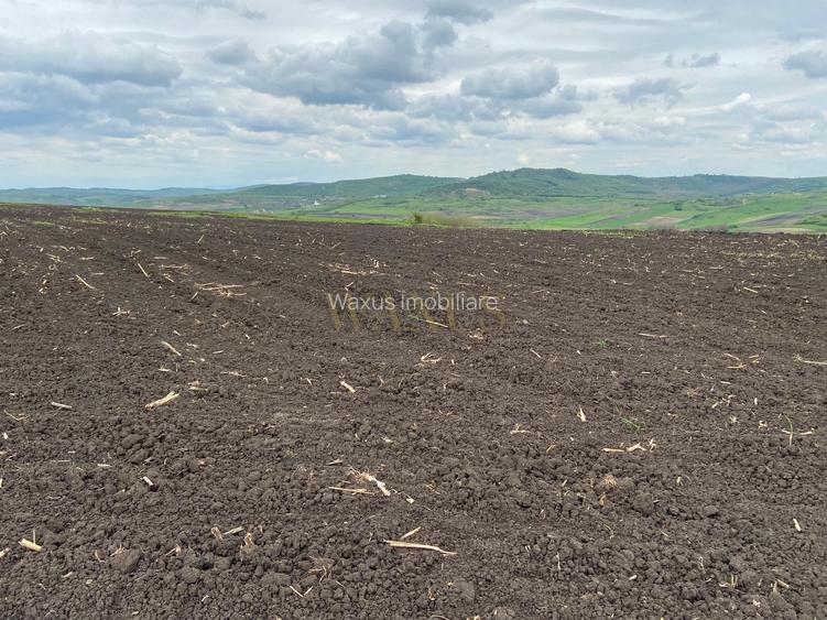 Teren extravilan, 10.200mp, Țagu - 5