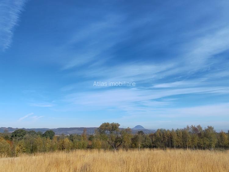 5800 mp fineata, pretabil camping, constructii A-frame, Sohodol, Bran - 11