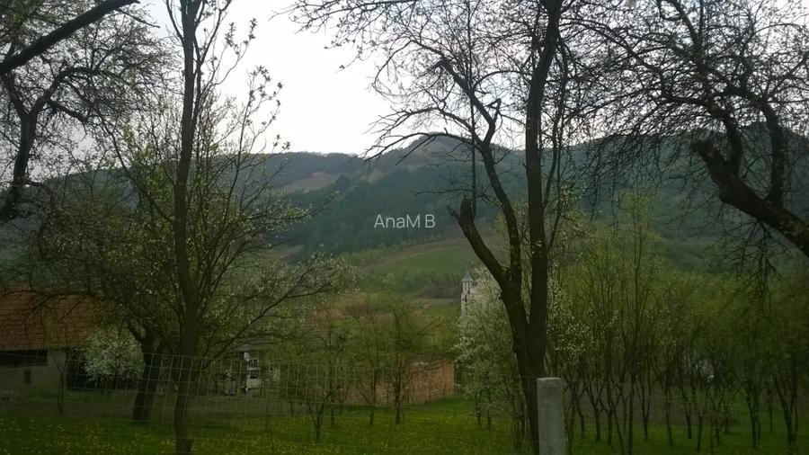 Vand teren intravilan sat Nicula, jud Cluj - 3