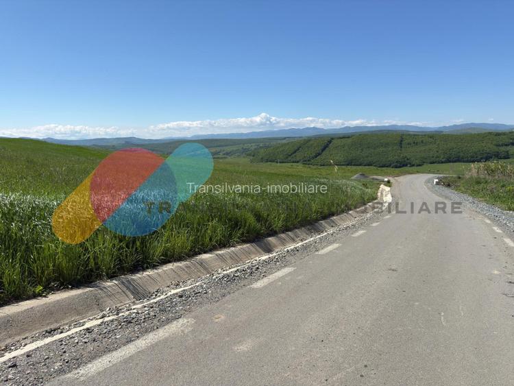 Teren Intravilan de 4.300 mp cu Acces Asfaltat – Popești, Cluj-Napoca - 5