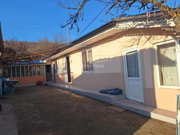 Casa de vanzare in Horga, comuna Epureni - 13