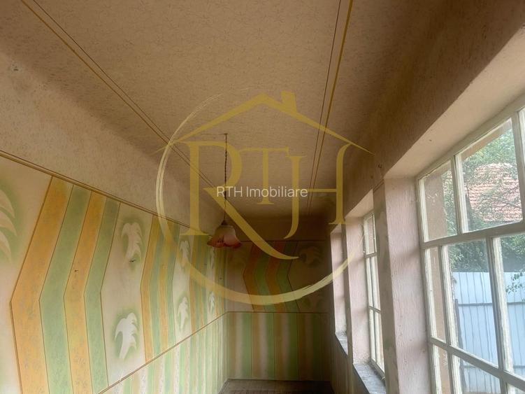 Casa plus teren de vânzare în Balinț,comision ,,0'' - 17
