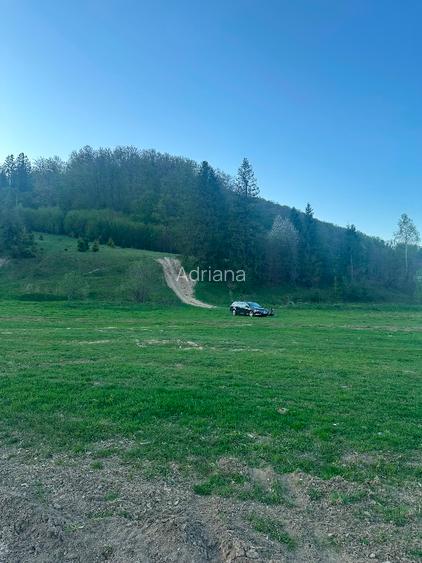 Teren intravilan în Marginea  - 5