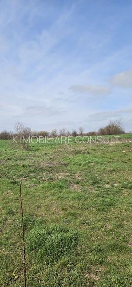 Afumati Balta Batal teren de vanzare 7000 mp - 2