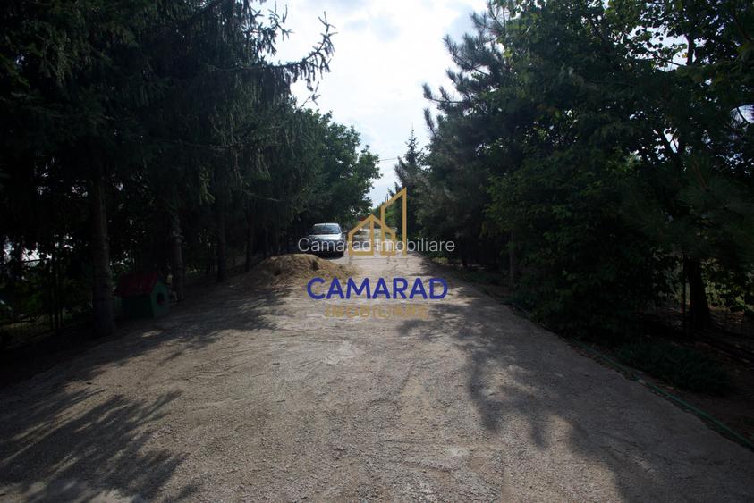 Casa - hala si teren de 9000 mp - ideal investitie - Fundeni/Calarasi - 5