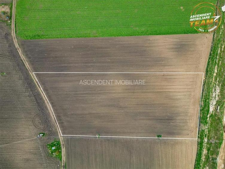 FILM! Teren intravilan cu potential ridicat - zona Sepsi Arena, Arcus, Covasna - 3