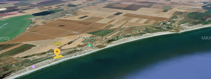 CORBU - 4000 MP PRIMUL RAND LA MARE - - 3