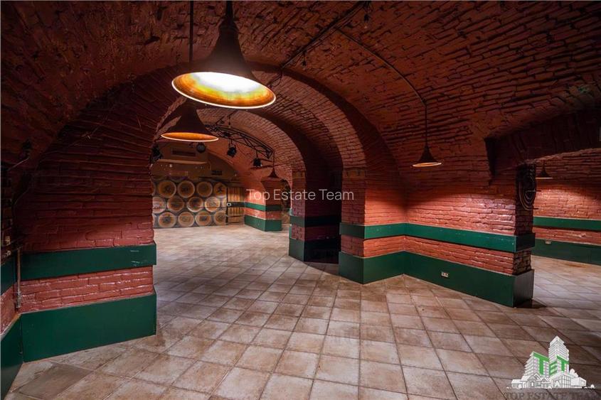 Proprietate Piata Unirii - teren  1000mp +  2 constructii - 10