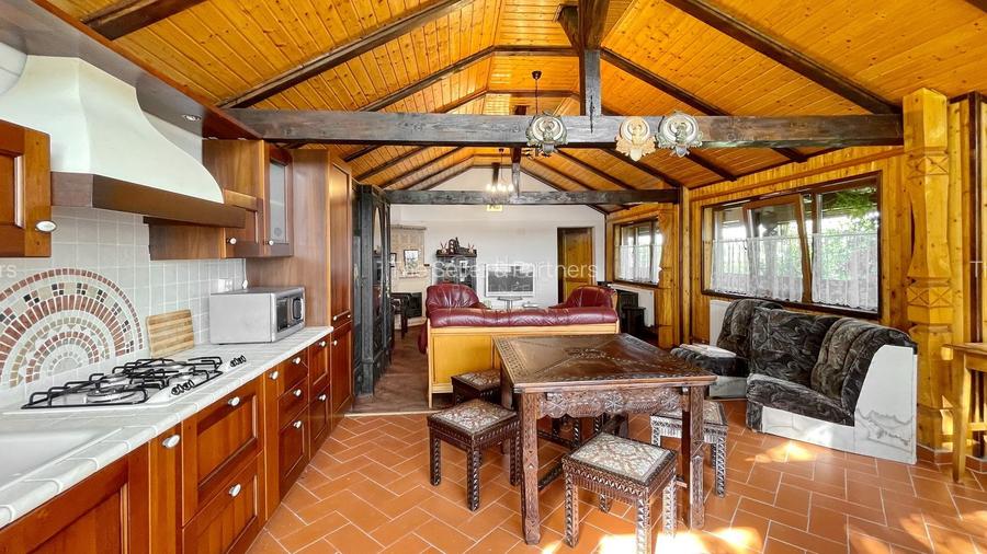 Complex de 3 case pe 18000 mp teren - 52