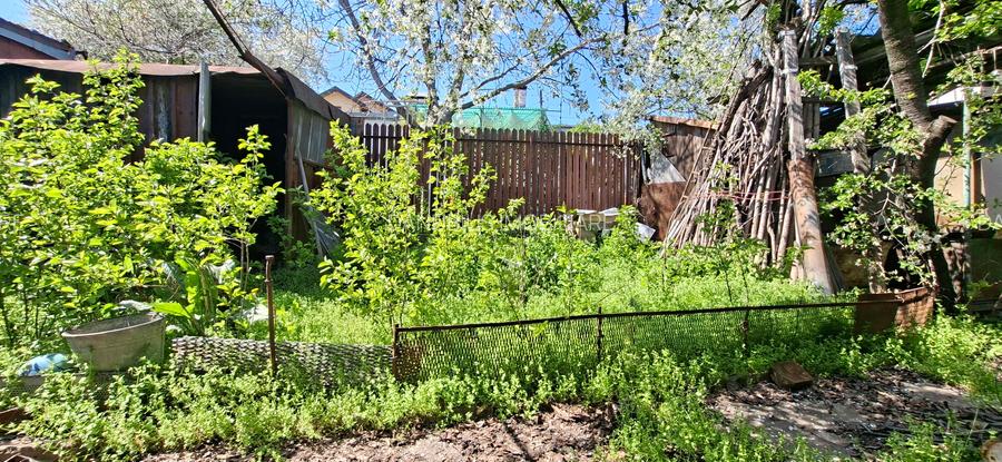 Teren ideal pentru casa ta, în Mazepa – zonă premium, utilități existente - 4