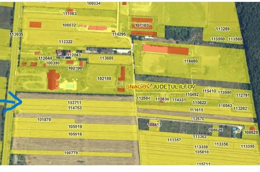 Vanzare 5000 mp teren intravilan, acces din DN1 (26 mp) - Tîncăbești, Snagov  - 2