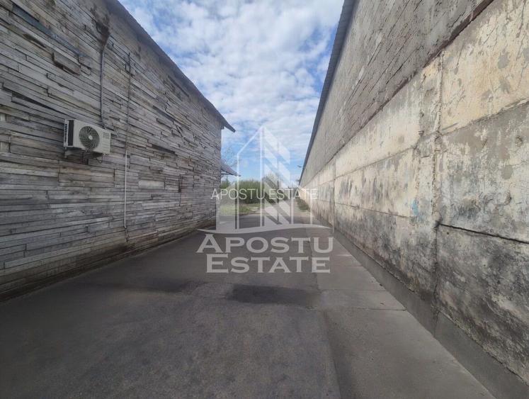 PLATFORMĂ INDUSTRIALĂ 3HA SILOZURI 50M ACCES CFR SÂNNICOLAU MARE - 13