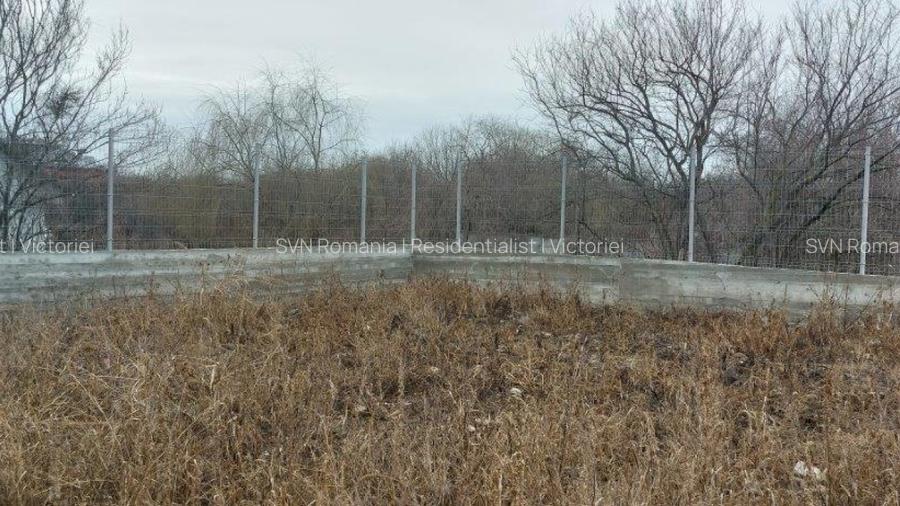 REL4001245 Teren Hala - Ideal Investitie - 3