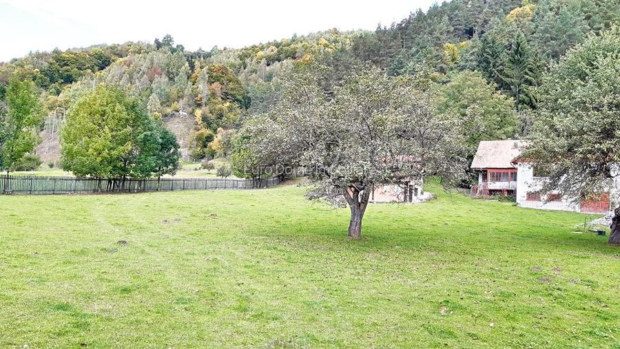 Teren superb de 16240mp, parcelabil, in Bran la intrare in Moeciu de Jos - 12