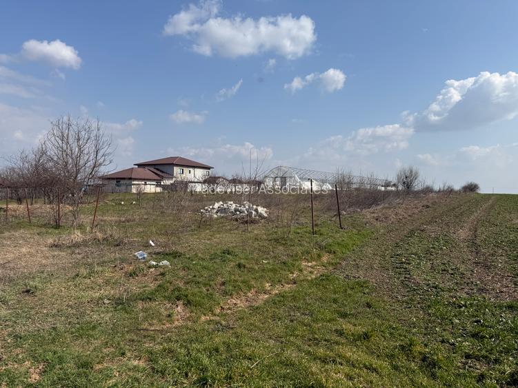Teren intravilan 4.990 mp – Frumușani, zona Pasărea | Deschidere 22,5 m - 4